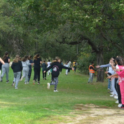 1917Cross du collège