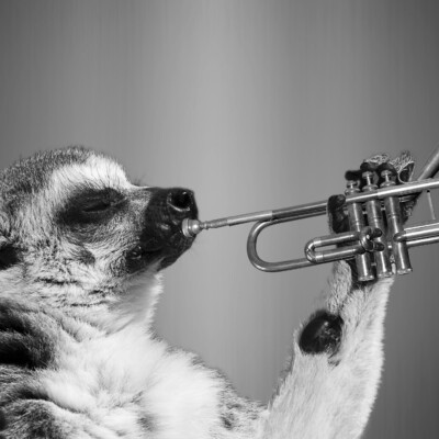 Concert : rencontre d’orchestres d’harmonie