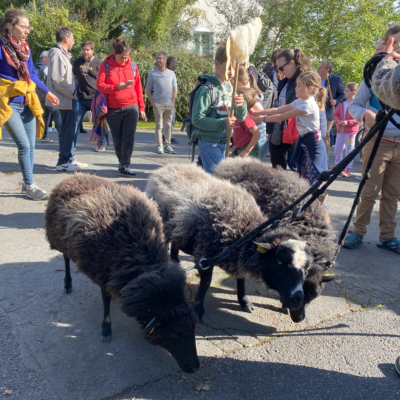 3707Forum transition écologique