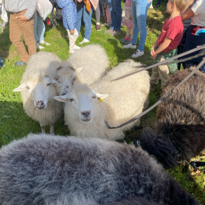 Forum transition écologique