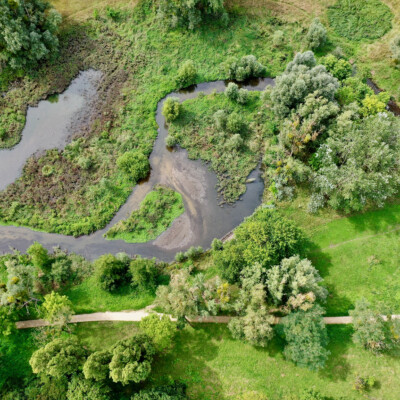 Renaturation de la Bièvre à Igny : redonner à la rivière son fonctionnement naturel