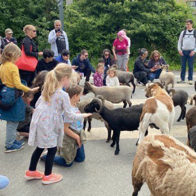 4730Fête de la nature