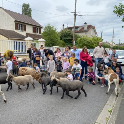 4735Fête de la nature
