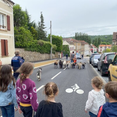 4736Fête de la nature