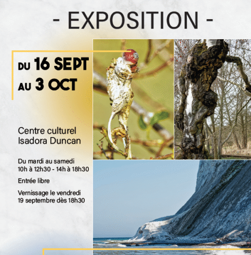 Image de l'événement: Exposition : « ILLUSIONS PARÉIDOLIES »