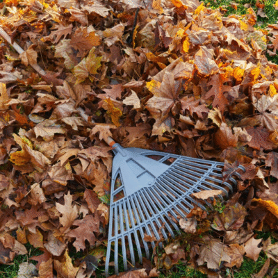 Changement du planning des collectes végétaux en hiver