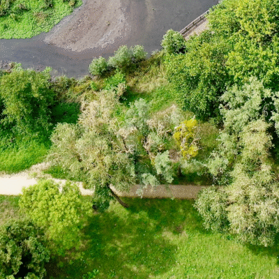 Header image