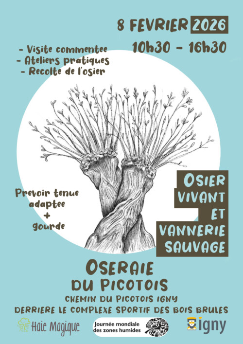 Image de l'événement: Journée découverte de l&rsquo;oseraie du Picotois