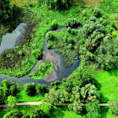 Exposition : « Bièvre et Nature »
