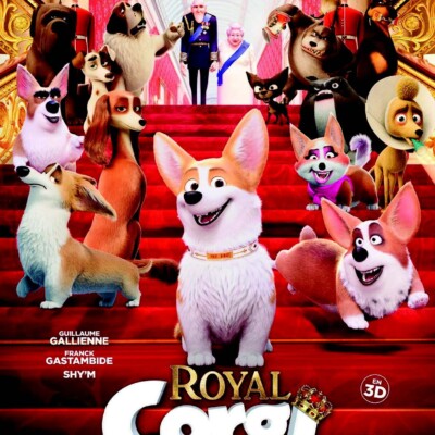 Ciné-vidéo : « Royal corgi »