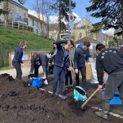 Distribution compost