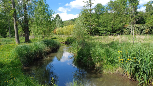 Image de l'événement: Contes de la vallée