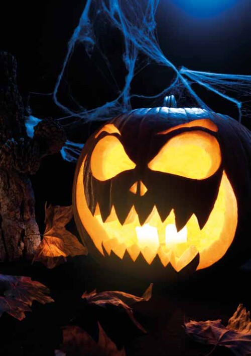 Image de l'événement: Halloween